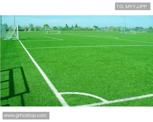 温布利草坪质量引球员不满欧冠决赛场地争议再度升级 温布利草坪质量引球员不满欧冠决赛场地争议再度升级